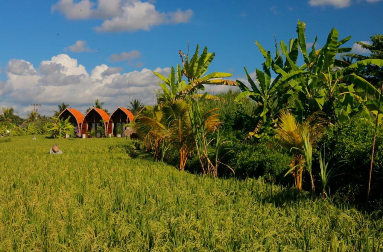 Keramas Surf Camp Hotel Ngoại thất bức ảnh