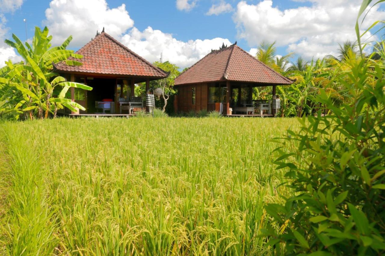Keramas Surf Camp Hotel Ngoại thất bức ảnh