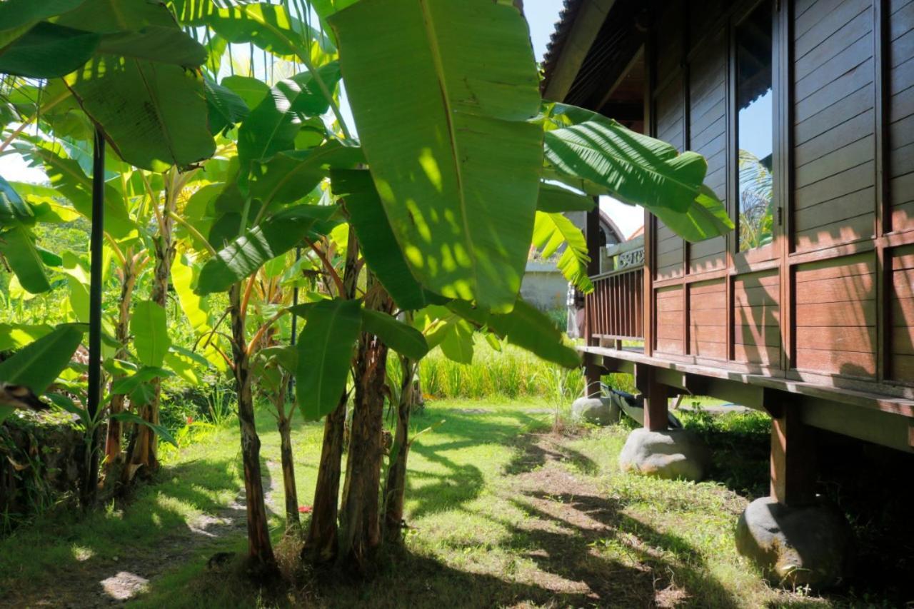 Keramas Surf Camp Hotel Ngoại thất bức ảnh