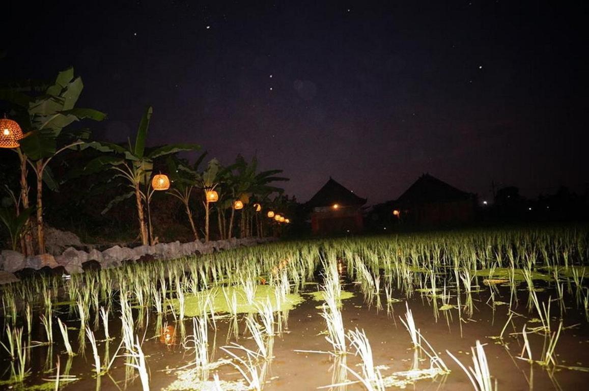 Keramas Surf Camp Hotel Phòng bức ảnh