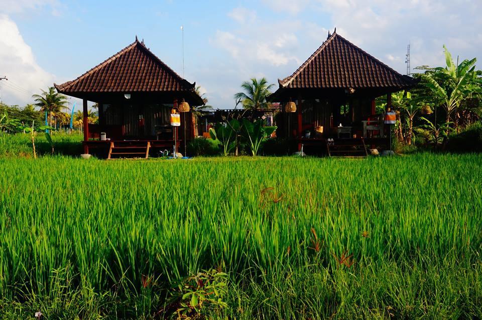 Keramas Surf Camp Hotel Ngoại thất bức ảnh