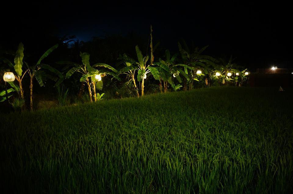 Keramas Surf Camp Hotel Ngoại thất bức ảnh