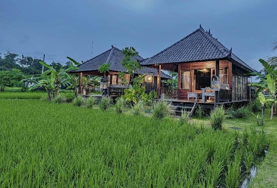 Keramas Surf Camp Hotel Ngoại thất bức ảnh